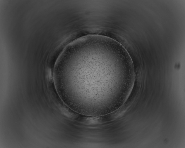 X0000091480089200708301923