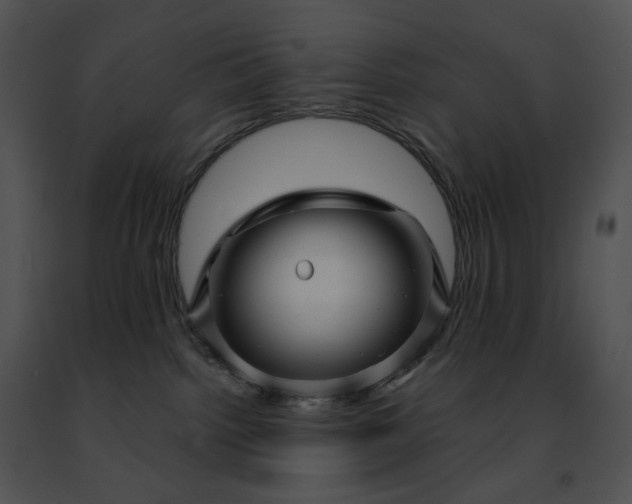 X0000091480092200708301924