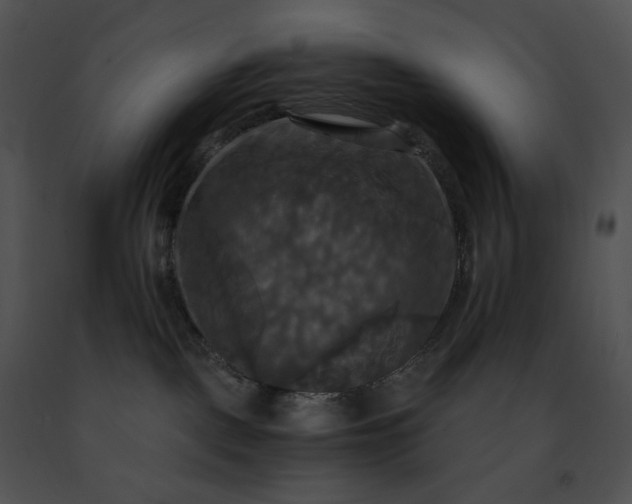 X0000091480093200708301924