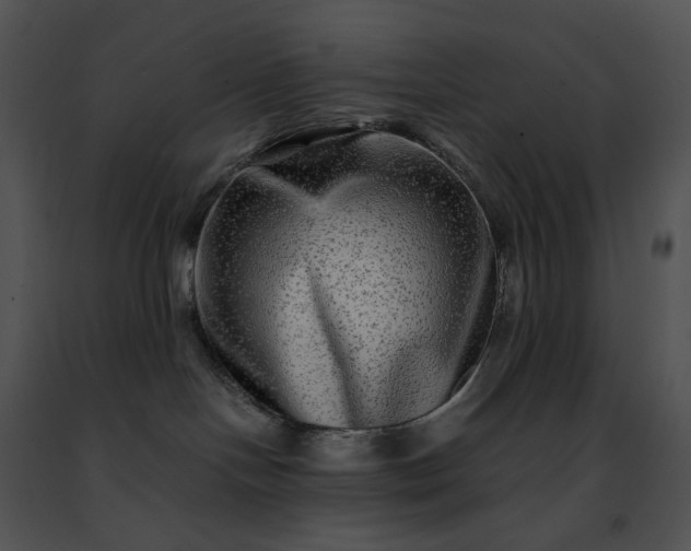 X0000091480094200708301924