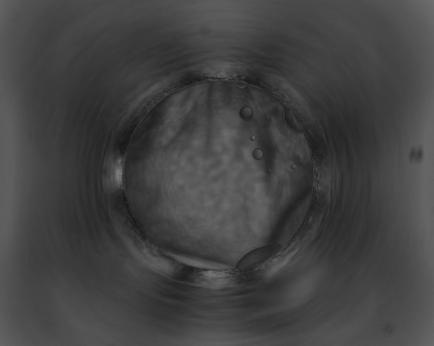 X0000091480095200708301924