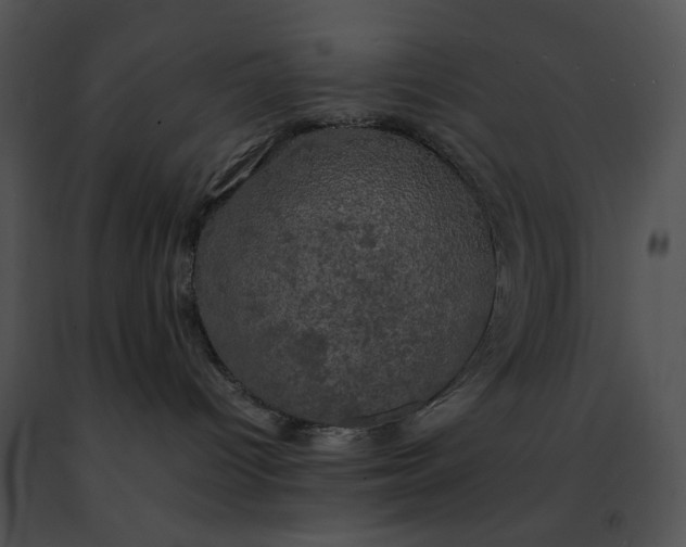 X0000091480096200708301924