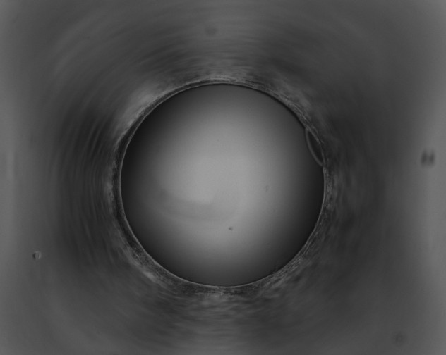 X0000091480098200708301923