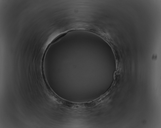 X0000091480099200708301923