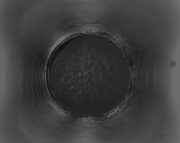 X0000091480100200708301923