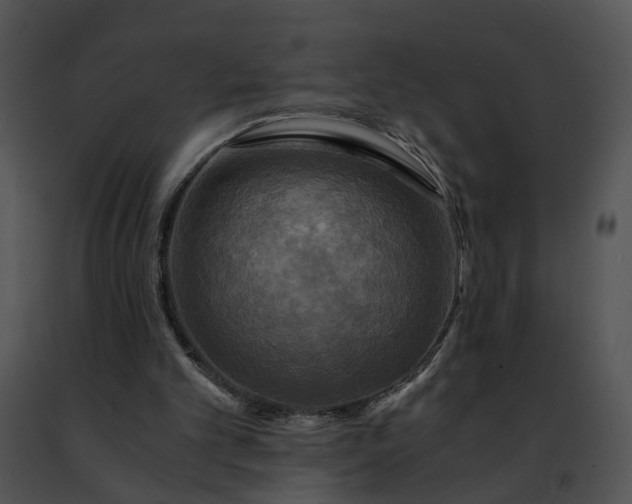 X0000091480101200708301923