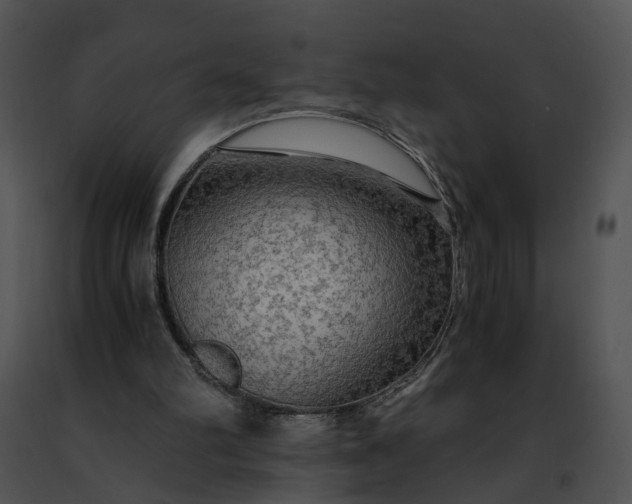 X0000091480102200708301923