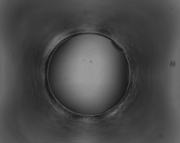 X0000091480103200708301923