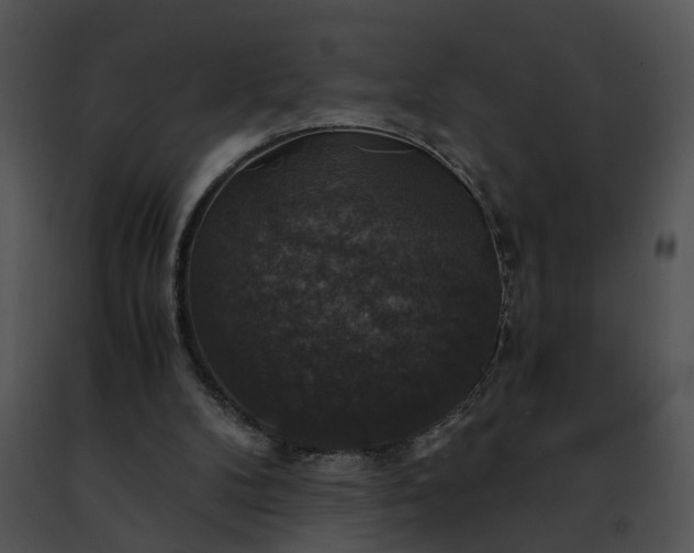 X0000091480104200708301923