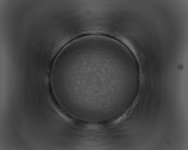 X0000091480105200708301923