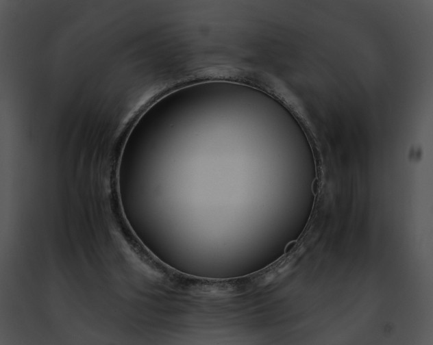 X0000091480106200708301923