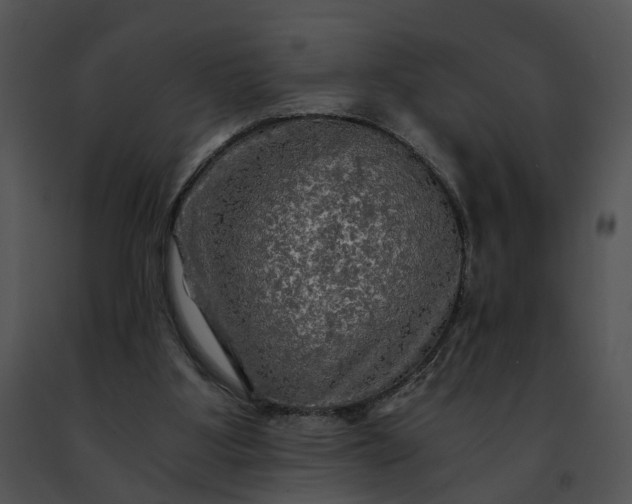 X0000091480107200708301923