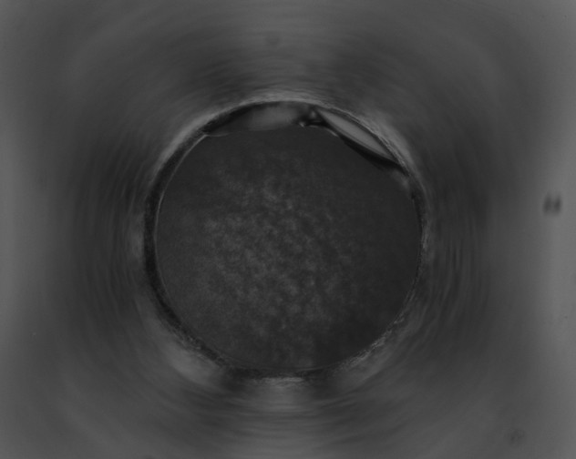 X0000091480108200708301923