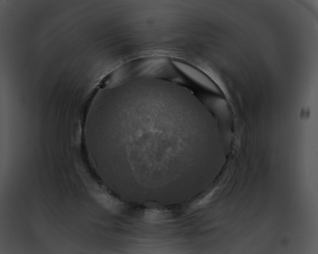 X0000091480109200708301923