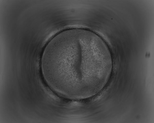 X0000091480111200708301923