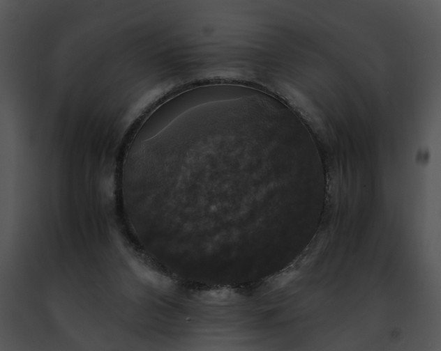 X0000091480112200708301923