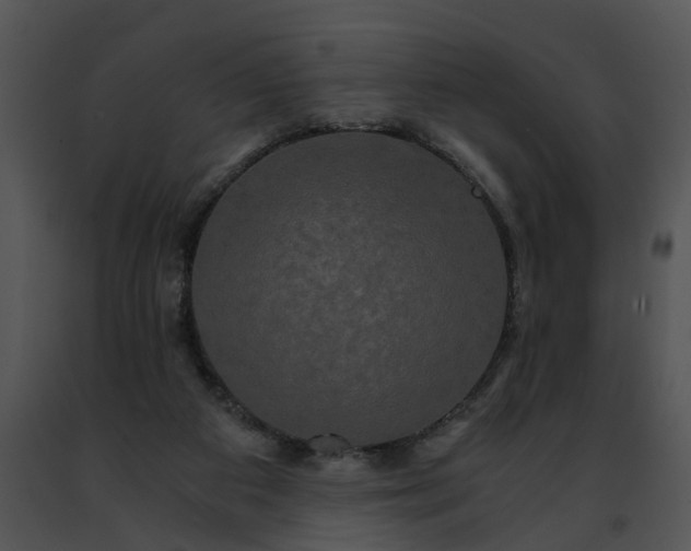 X0000091480113200708301923