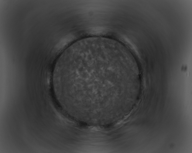 X0000091480115200708301923