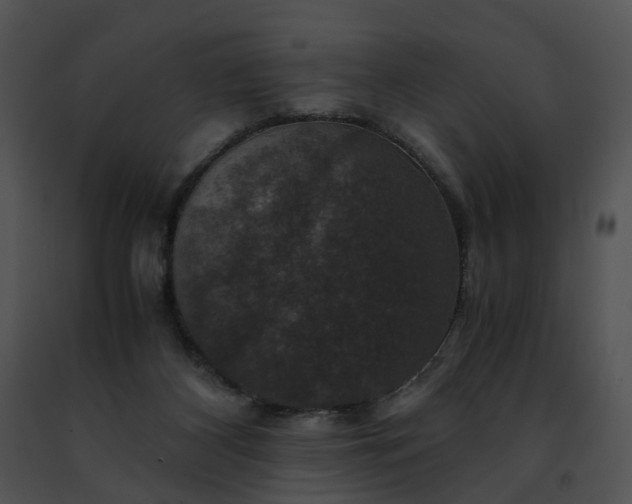 X0000091480116200708301923