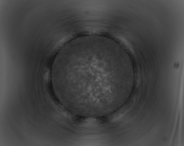 X0000091480123200708301923