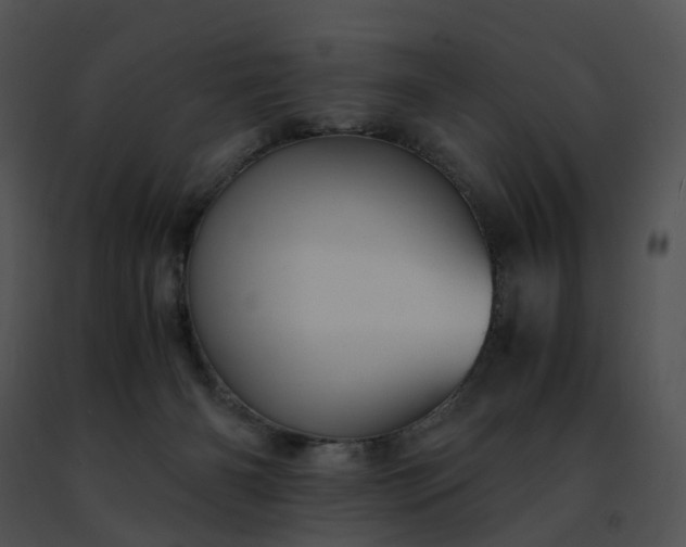 X0000091480126200708301923