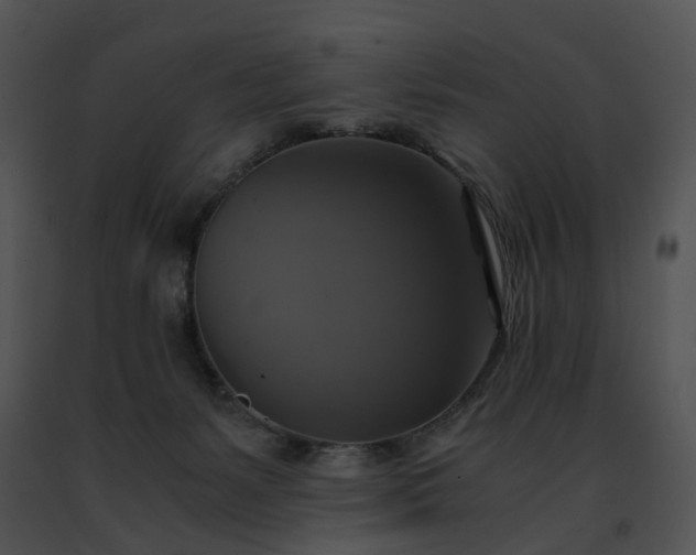 X0000091480127200708301923