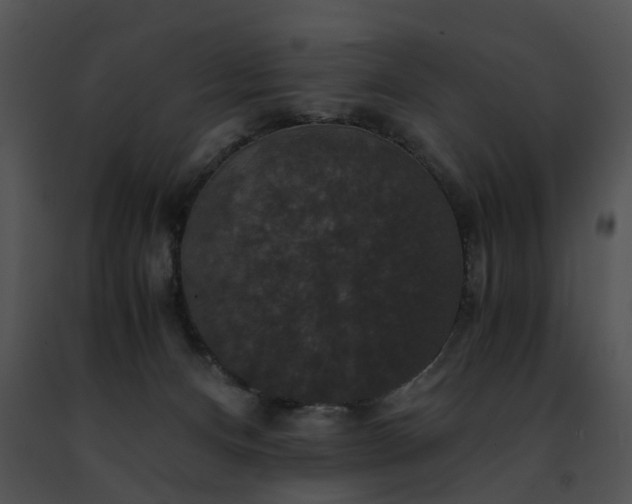 X0000091480128200708301923