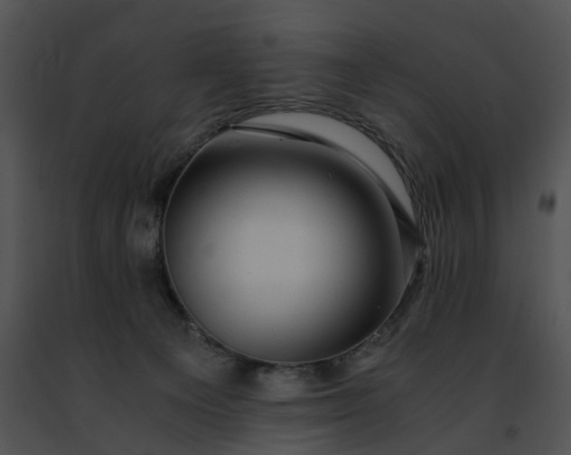 X0000091480129200708301923