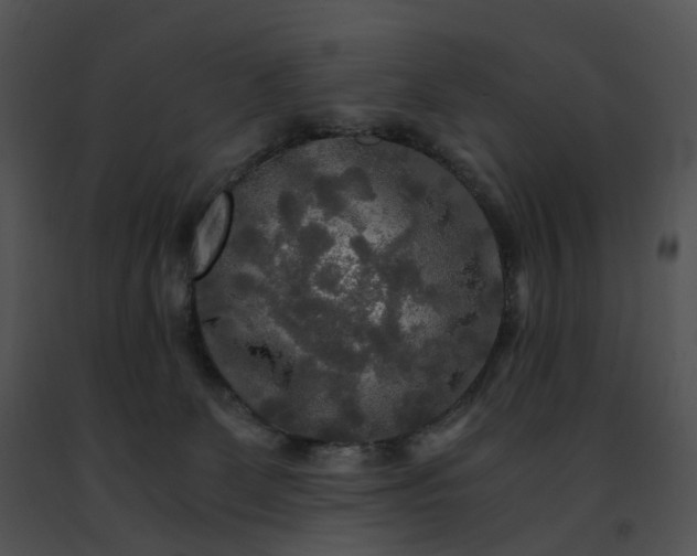 X0000091480131200708301923