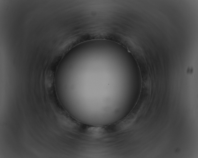 X0000091480133200708301923