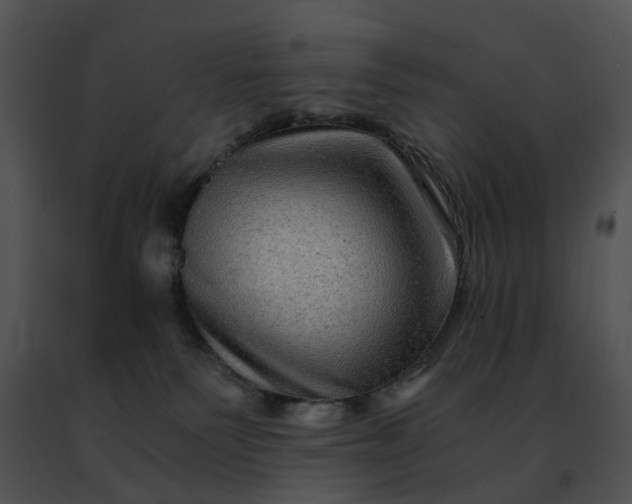 X0000091480135200708301923