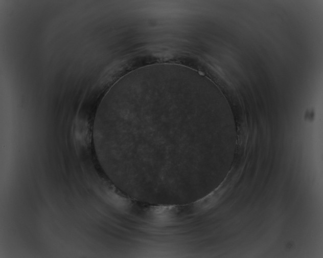 X0000091480136200708301922