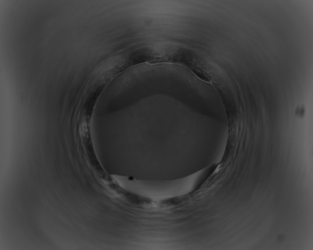 X0000091480137200708301922