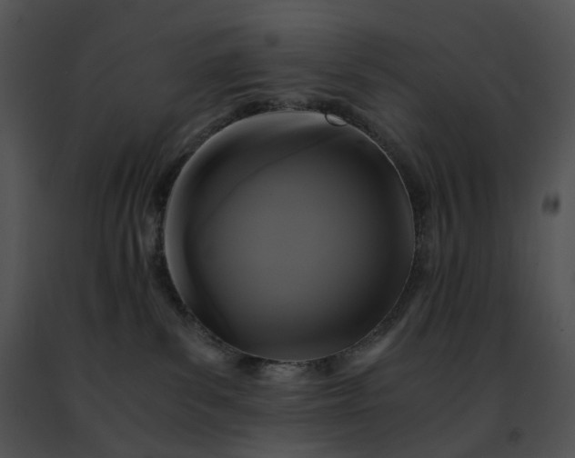 X0000091480139200708301922