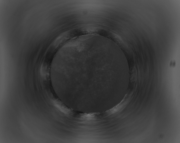 X0000091480140200708301922