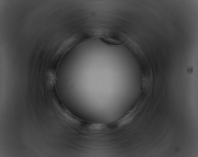 X0000091480142200708301922