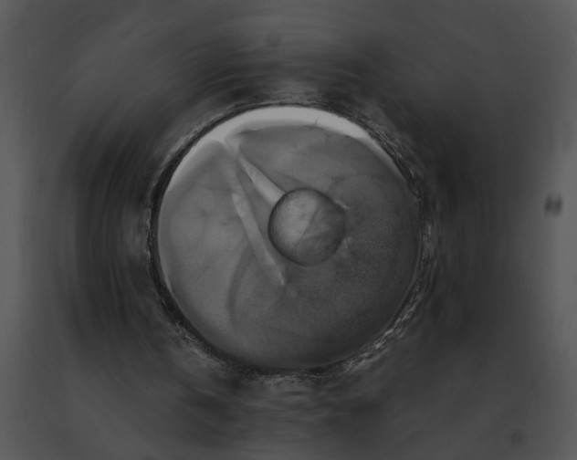 X0000091480146200708301922