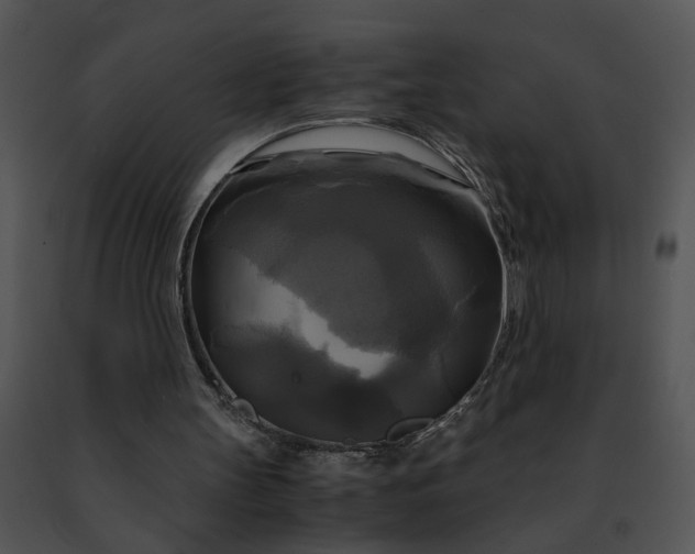 X0000091480147200708301922