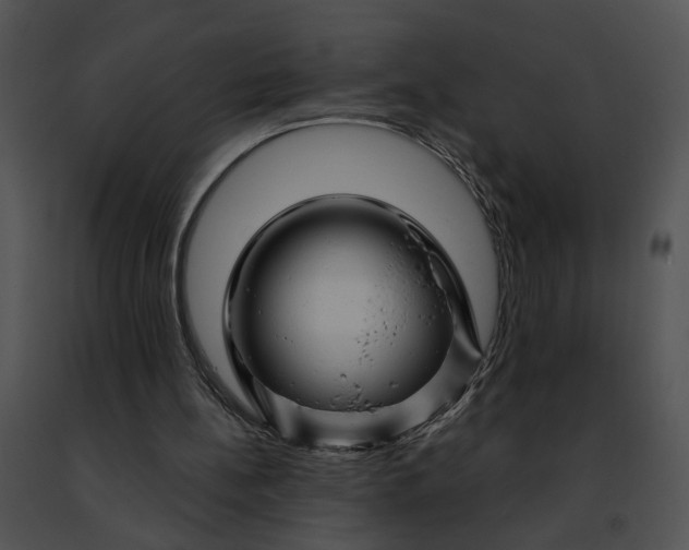 X0000091480148200708301922