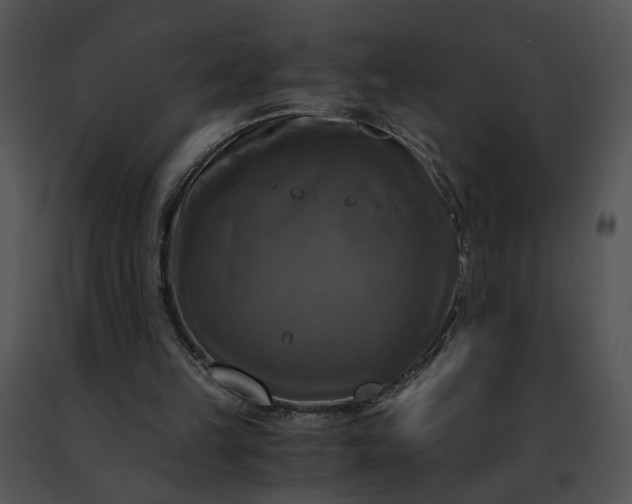 X0000091480149200708301922