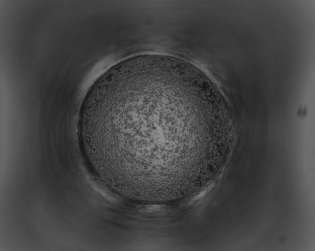 X0000091480151200708301922