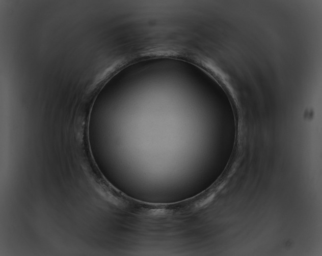 X0000091480153200708301922