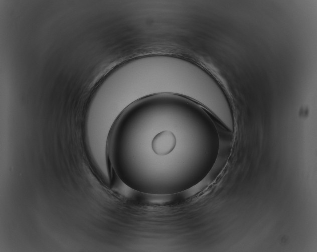 X0000091480154200708301922