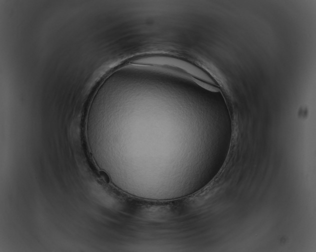 X0000091480155200708301922