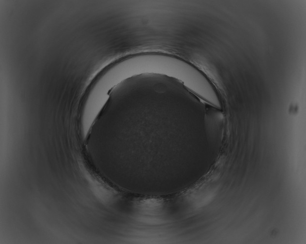 X0000091480156200708301922