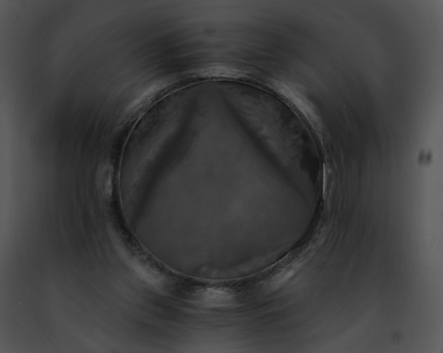 X0000091480157200708301922