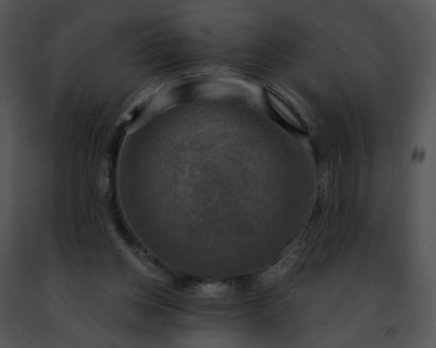 X0000091480158200708301922