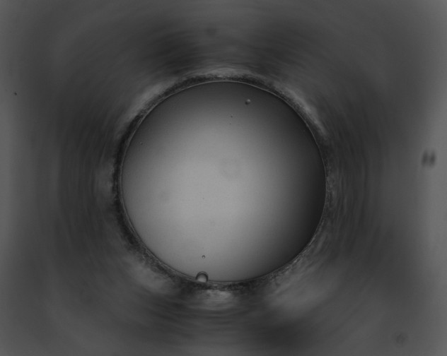 X0000091480159200708301922