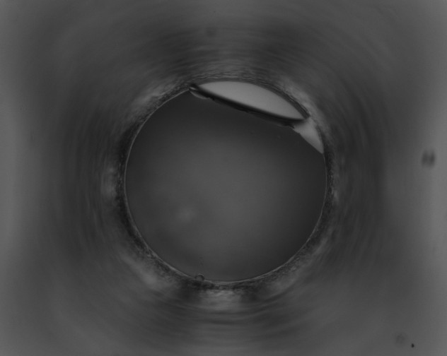 X0000091480161200708301922