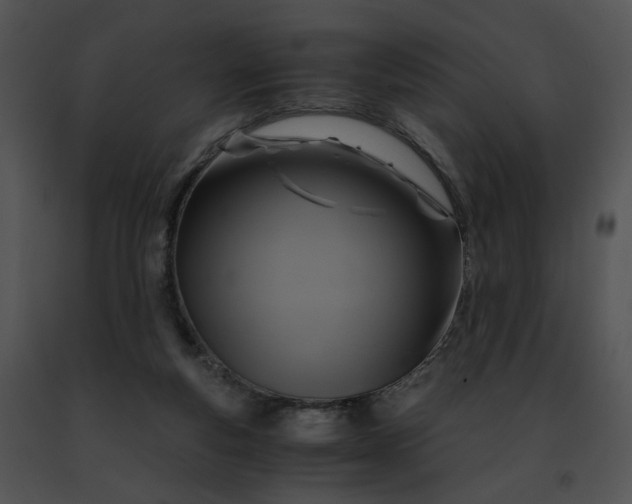 X0000091480163200708301922